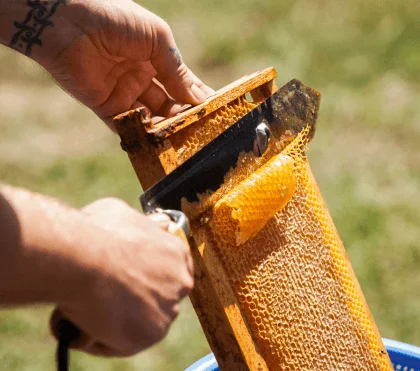 Sobre Ashfiat Alharamain